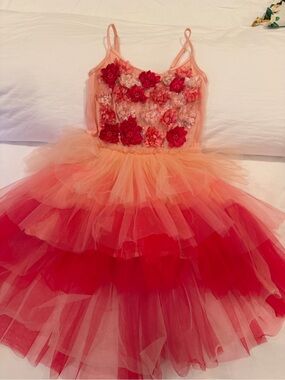 Tutu du Monde Floral Appliqué Tulle Party Dress in Coral & Hot Pink Girls T4